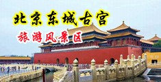 鸡巴对鸡巴鬼父中国北京-东城古宫旅游风景区